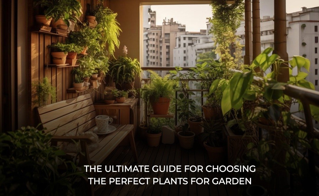 The Ultimate Guide for Choosing the Perfect Plants for Garden
